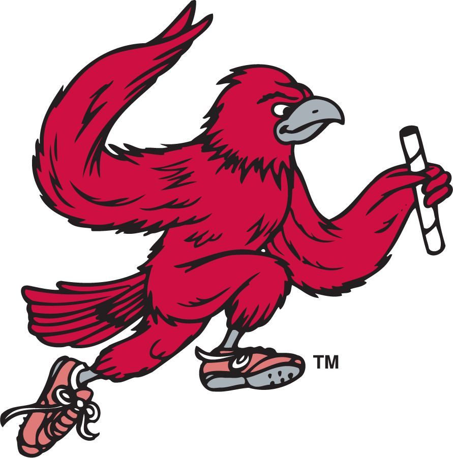 St. Joseph's Hawks 1995-2002 Secondary Logo v6 diy iron on heat transfer